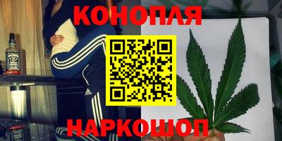 гашик Донецк