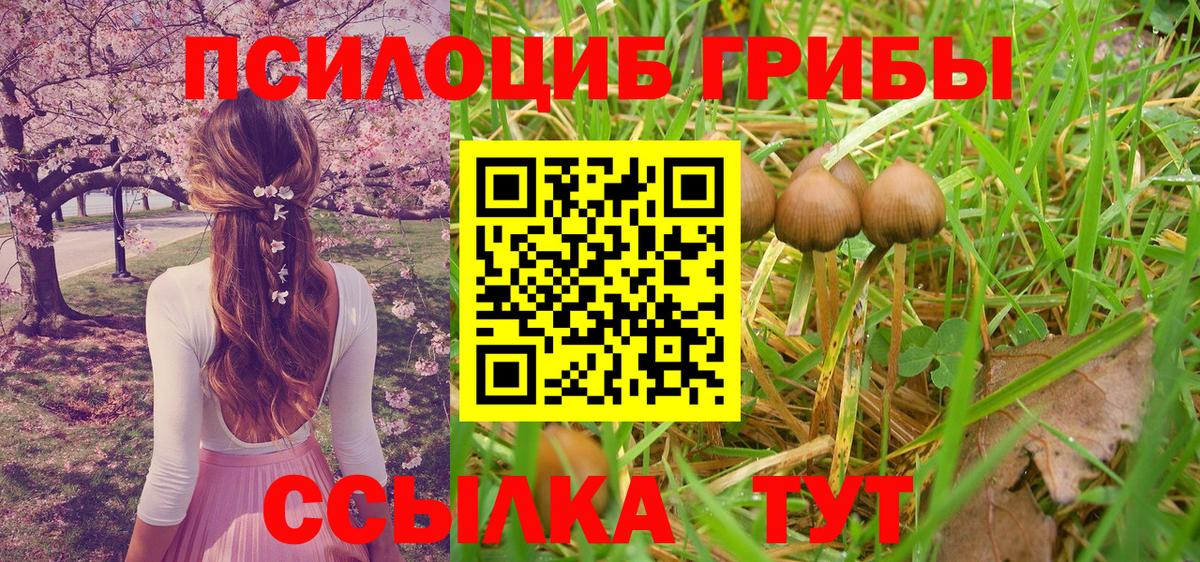 где купить наркоту  Галлюциногенные грибы Psilocybine cubensis  Вход с VPN  Галлюциногенные грибы мухоморы  Лыткарино 